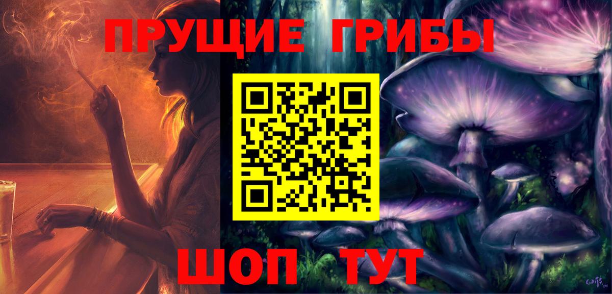Каменка  Псилоцибиновые грибы мицелий  купить   Галлюциногенные грибы Magic Shrooms  Вход с VPN 