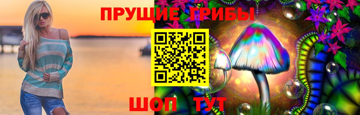 Псилоцибиновые грибы Psilocybe Каменка